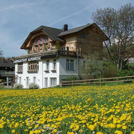 Hotel Alpenrose Beim Ballenberg Hofstetten bei Brienz Εξωτερικό φωτογραφία