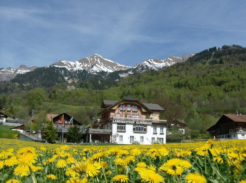 Hotel Alpenrose Beim Ballenberg Hofstetten bei Brienz Εξωτερικό φωτογραφία