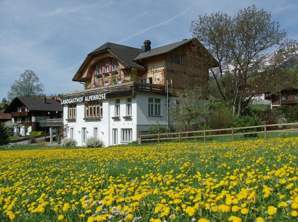 Hotel Alpenrose Beim Ballenberg Hofstetten bei Brienz Εξωτερικό φωτογραφία